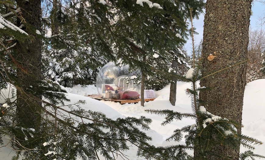 Image 8: Accommodation in a Bubble Tent