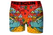 Pack de 5 boxers homme de la marque Freegun collection Old School - Second Medium