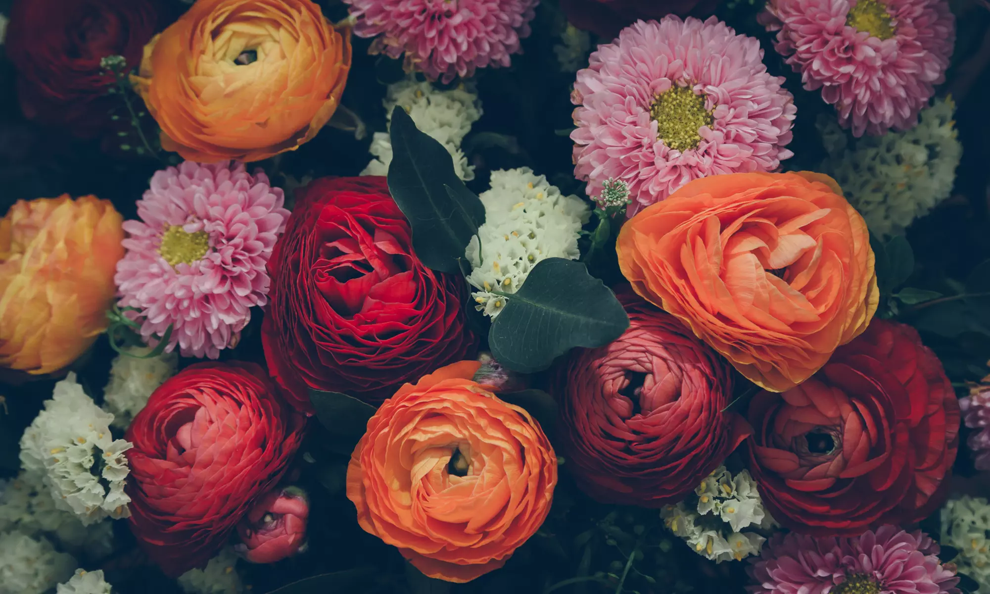 Wertgutschein über 35 € oder 40 € anrechenbar auf das gesamte Trockenstrauß-Sortiment von Flora Trans - Primary Image