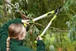 Garden Gear Tools - Telescopic Hedge Hears, Bypass and Anvil Loppers - Image 3