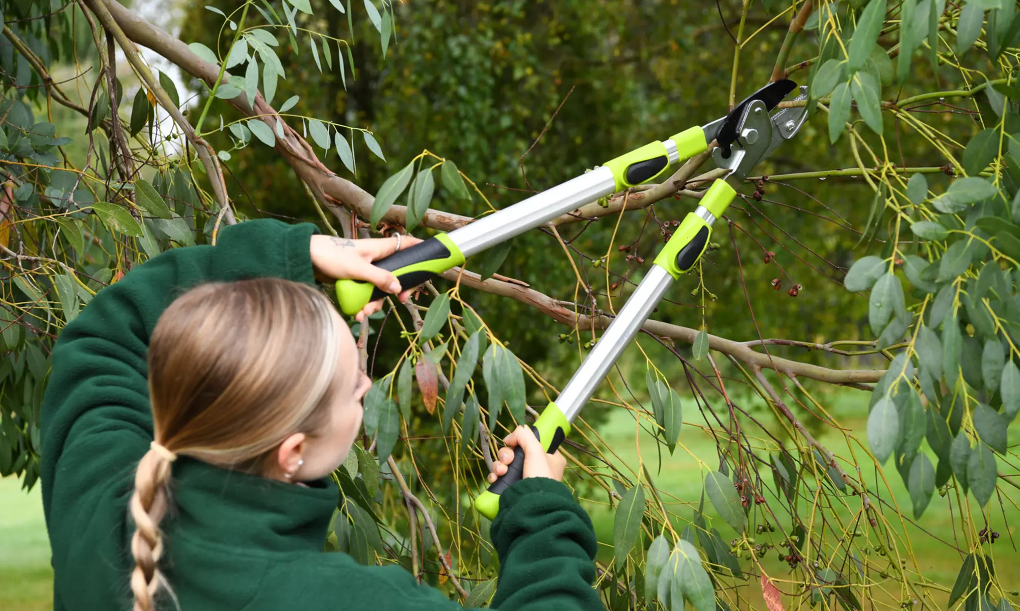 Garden Gear Tools - Telescopic Hedge Hears, Bypass and Anvil Loppers