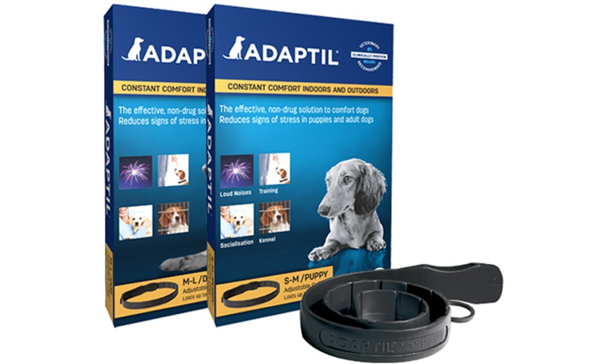 Image 3: Adaptil for Dogs