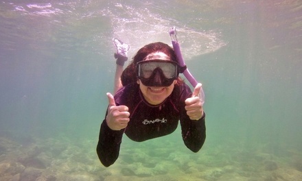 60-Minute Snorkeling Trip for 1: Valid May-September - Snorkel With Mike Lauderdale-by-the-Sea, Florida
