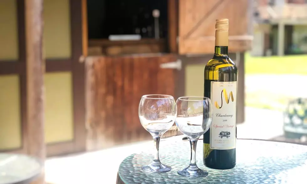 Sip and Dip Winery Experience at The Manor Estate