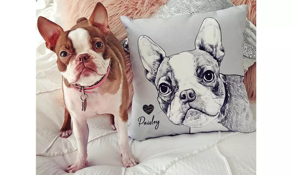 78% Off Personalized Pet Portrait Pillow from Justyling