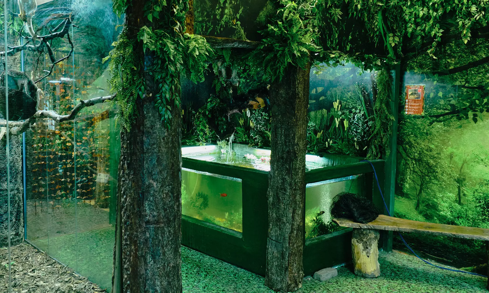 Up to 14% Off on Zoo / Animal Park at Get To Know Animals