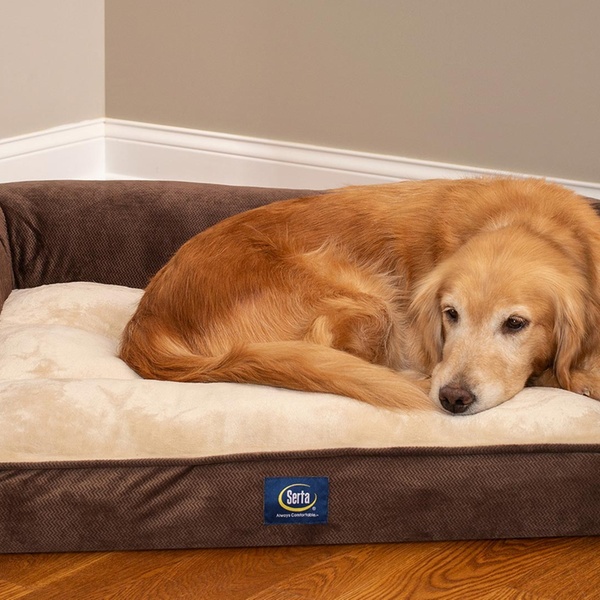 serta extra plush bolster dog bed