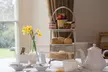 Up to 41% Off on Afternoon Tea at Willington Hall Hotel - Non-Accommodation - Second Medium