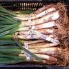Image 6: Cajas de calçots con salsa romesco