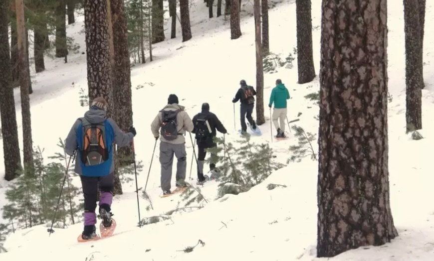 Image 3: Excursión con raquetas por la Sierra de Guadarrama para 1 o 2 personas