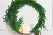 Christmas Norfolk Pine Garland Rattan Greenery Garland - Second Medium