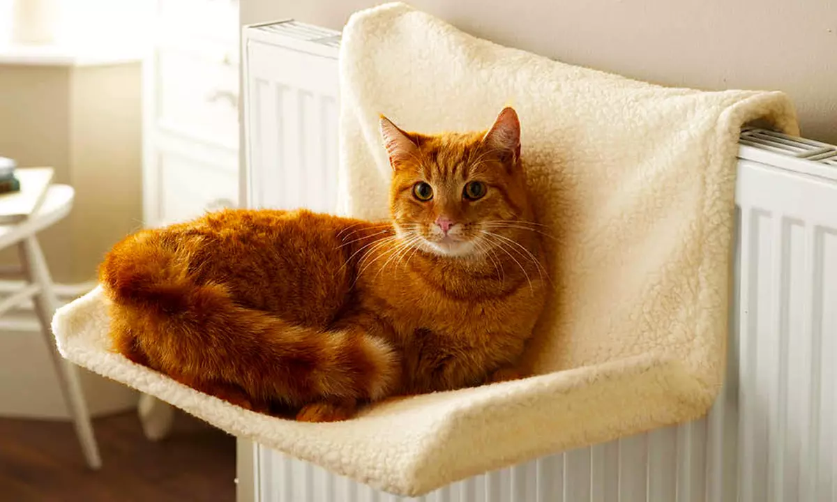 1 ou 2 hamacs suspendu sur radiateur pour chat Mediawave store - Primary Image