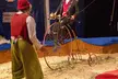 Zoppe Family Circus on October 3-13, 2025 - Second Medium