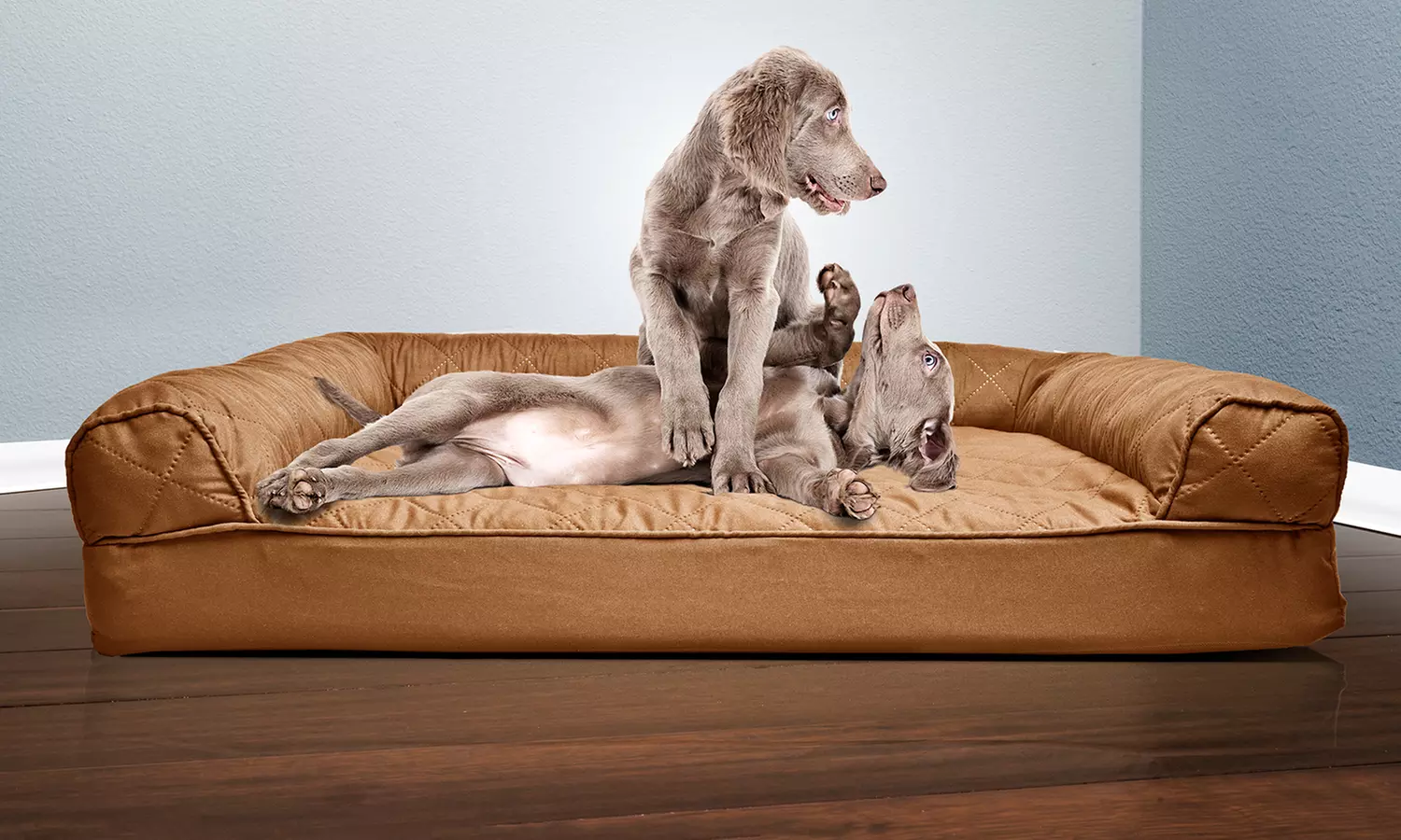 Furhaven Deluxe Quilted Sofa Orthopedic Pet Bed  - Primary Image