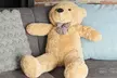 Oversized Super Soft Teddy Bear 90cm-250cm - Image 4