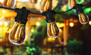  10-Bulb Festoon String L... 