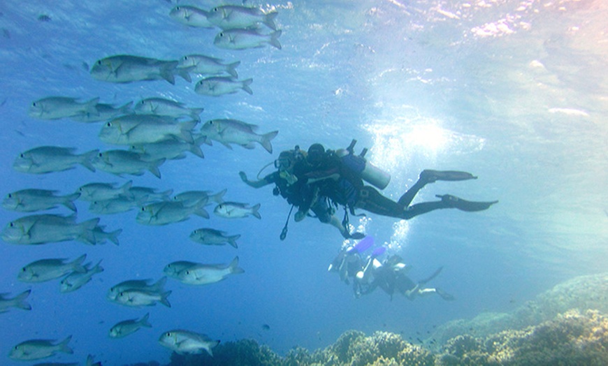 Image 2: Scuba Diving Course