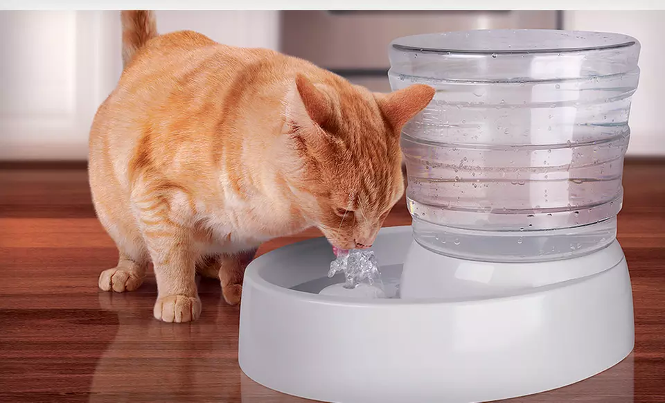 $19.99 for an Animal Planet Automatic-Flow Pet Water Fountain ($39.99 List Price). Free Shipping and Returns. - Primary Image