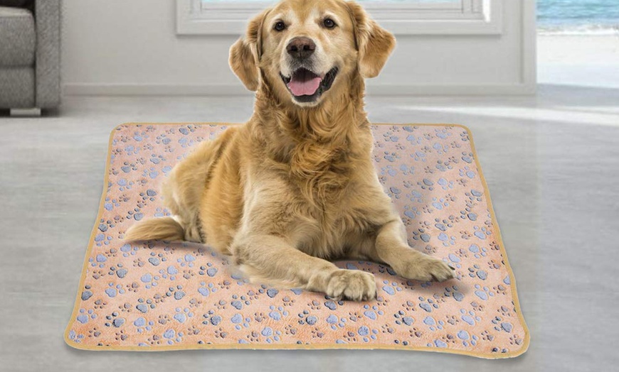 Image 3: Paw Print Light Blanket