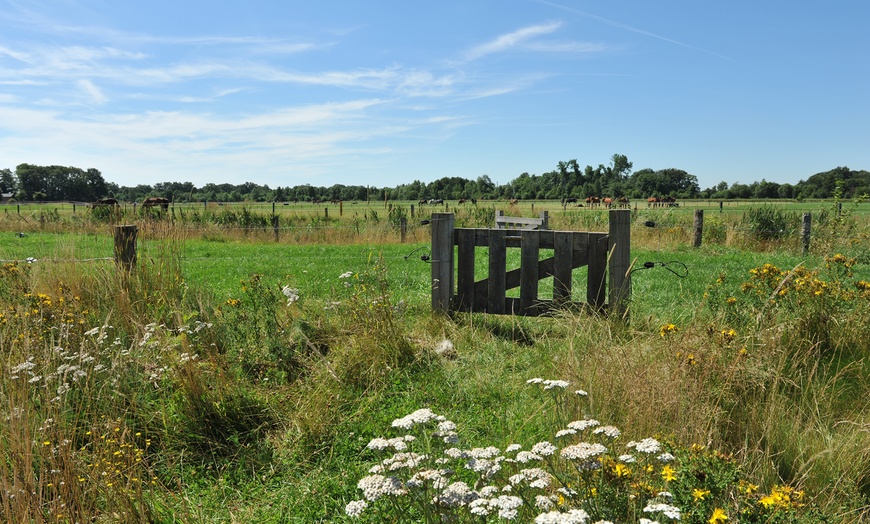 Image 16: Overijssel: Sterrenkubus met ontbijt