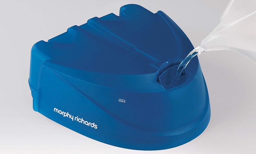 Image 4: Morphy Richards Steam Iron