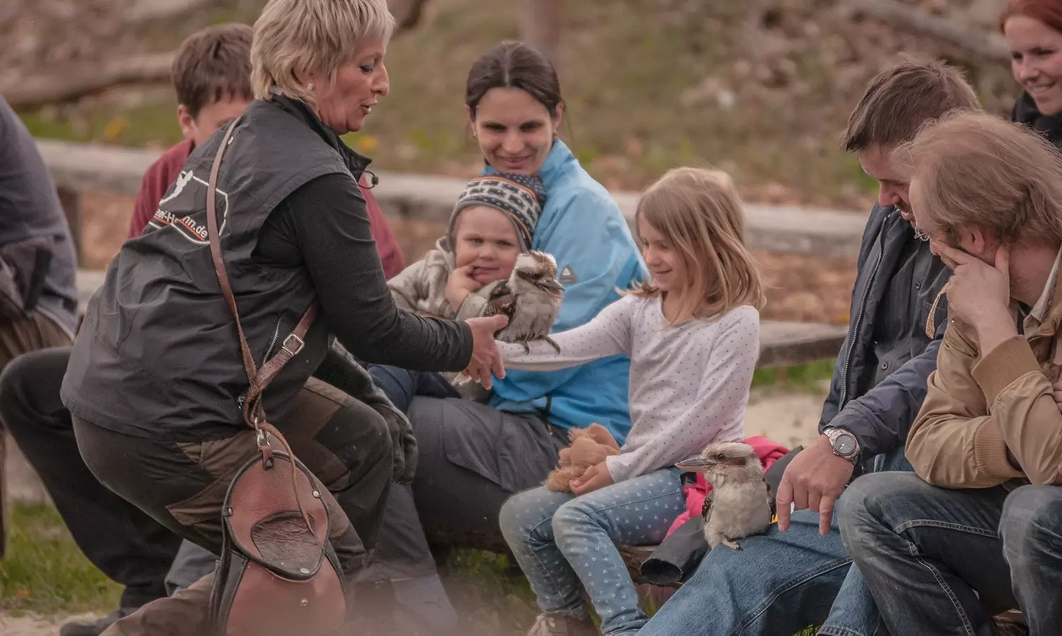 Falknerei-Erlebnis mit Flug-Show