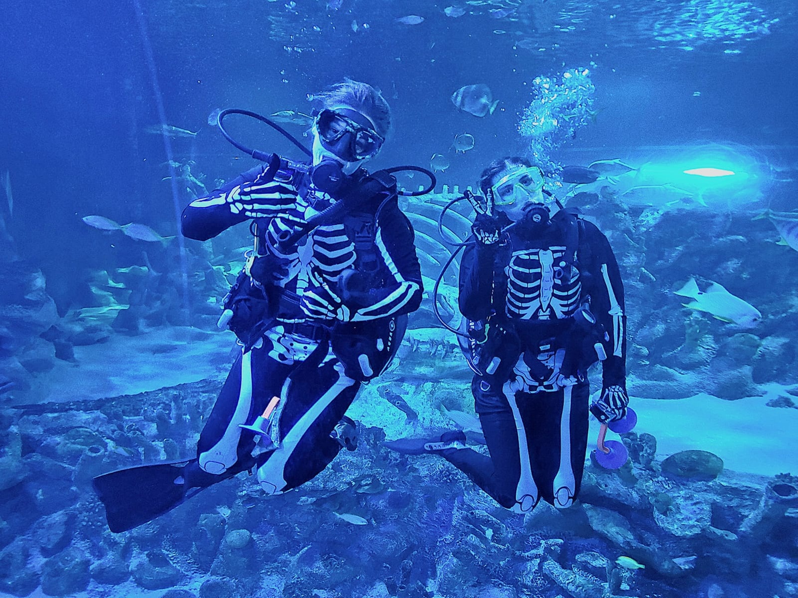 SEA LIFE & Optional Combo (Up to 29% Off)
