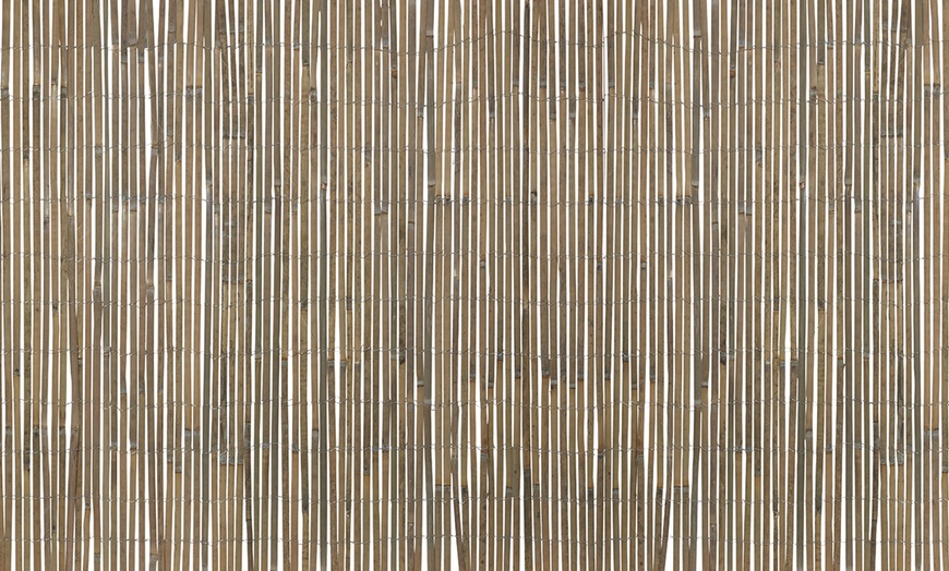 Image 5: Bamboo Slat Fences