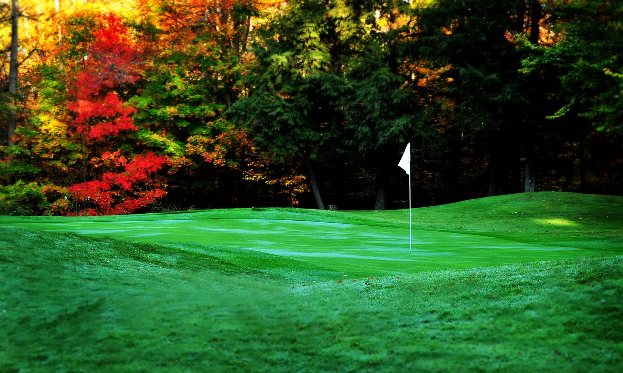 2 Days of Unlimited 9-Hole Golf & 1-Night Stay, for 2 people