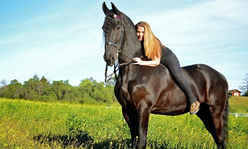 Image 6: Master Horse Riding Essentials w/ Liz Bolton Stables’ Private Lessons 