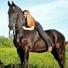 Image 5: Private Horseback Riding Lessons with Personalized Instruction