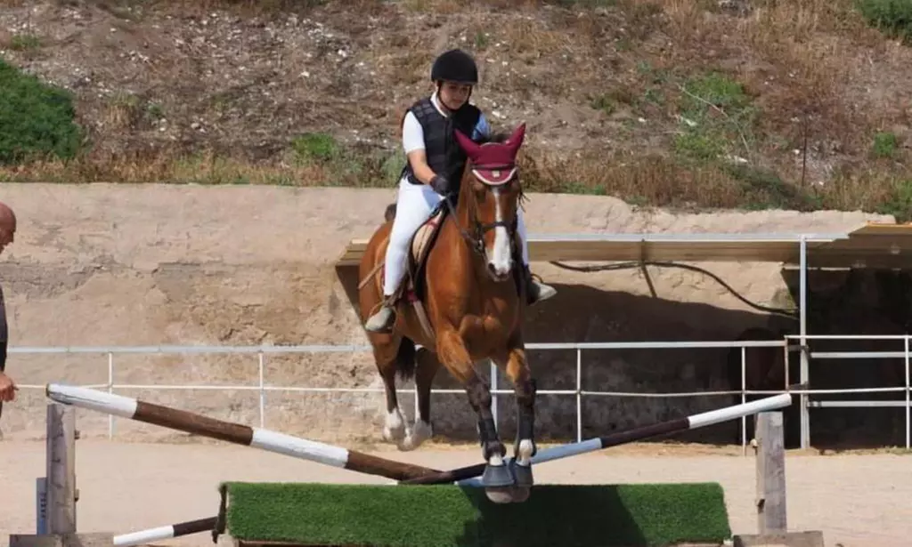Clases de equitación para 1 persona en Finca Ecuestre La Primavera
