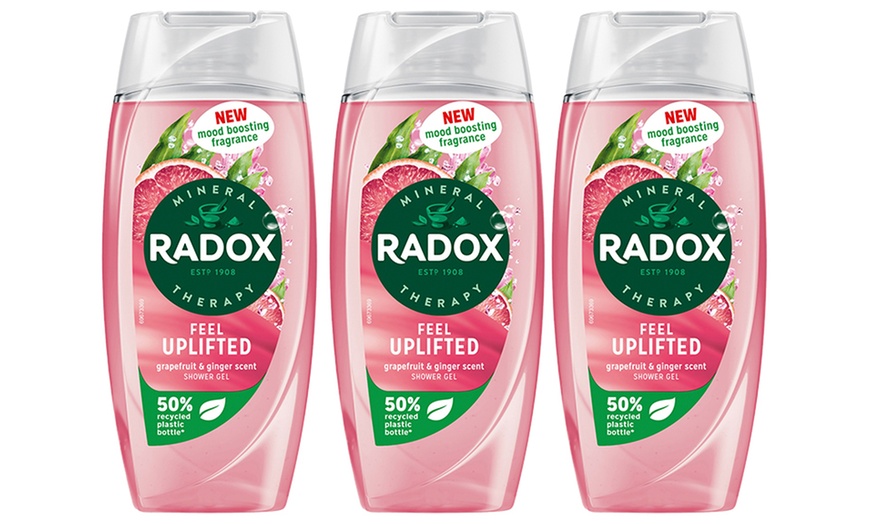 Image 18: Radox Mineral Therapy Shower Gel with Mood-Boosting Fragrance