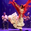 Image 2: "Inspiración": entrada al show de flamenco en diciembre en Barcelona