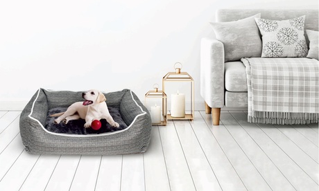 Cuccia per animali domestici con cuscino estraibile disponibile in 4 colori