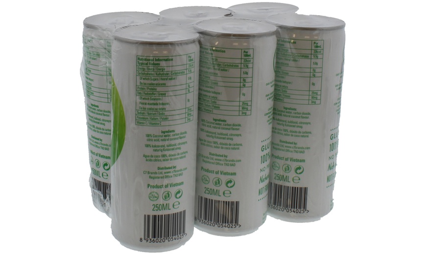 Image 3: Natural Sparkling Coconut Water