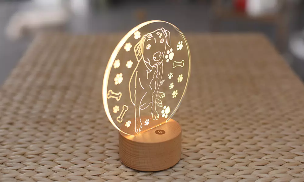 Foto-Nachtlicht vom Haustier