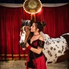 Image 4: Zoppé Circus - Up to 49% Off