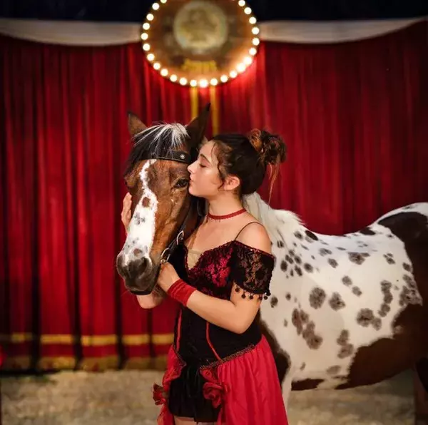 Zoppe Family Circus - Up to 49% Off