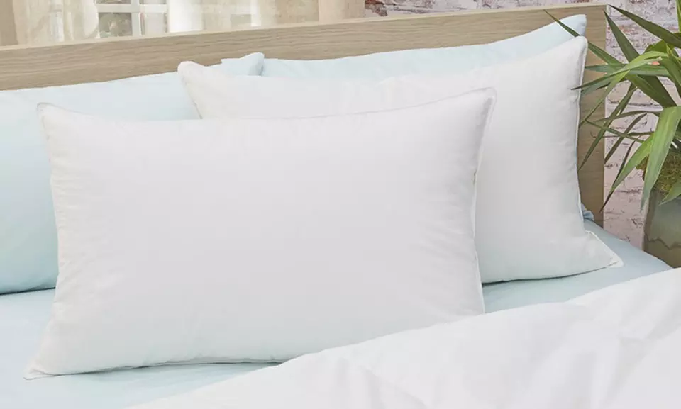 650 Fill Power White Down Pillows (2-Pack) - Primary Image