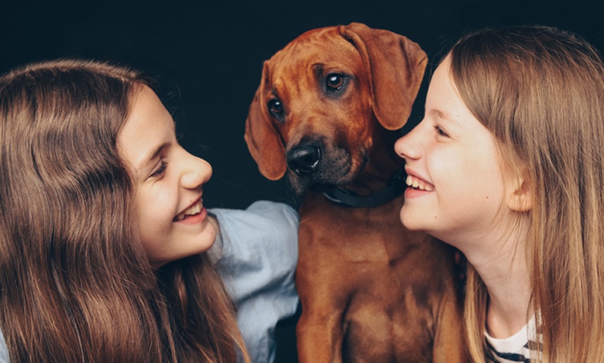 Image 8: Familien Fotoshooting- Erlebnis inkl. Bildern + YourShooting-Card