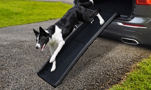 Dog Ramp with Secure Path