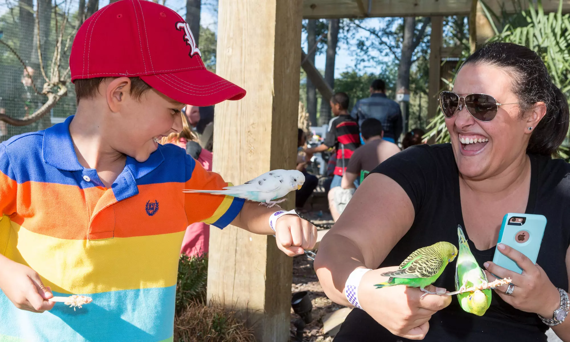 Admission for Hayride and Petting Farm with Feed Cups at Hunt Club Farm (Up to 32% Off). Two Options Available.  - Second Medium