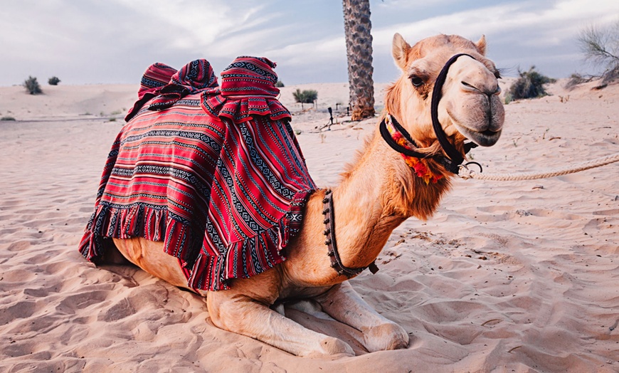 Image 1: Evening Desert Safari