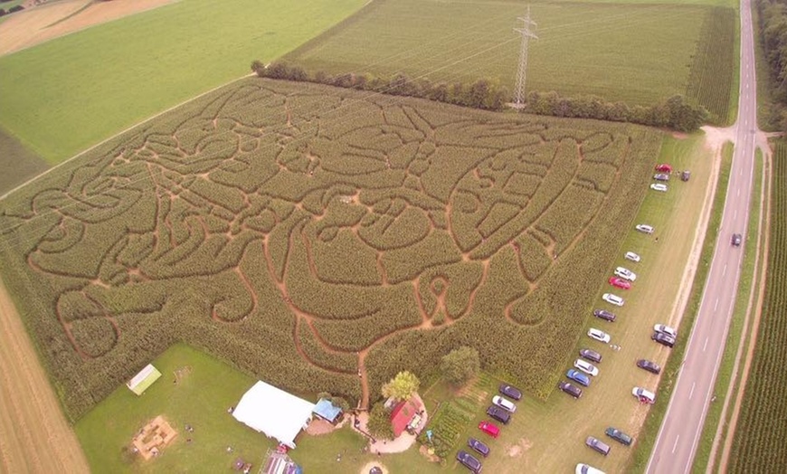 Image 7: Maislabyrinth bei Horb