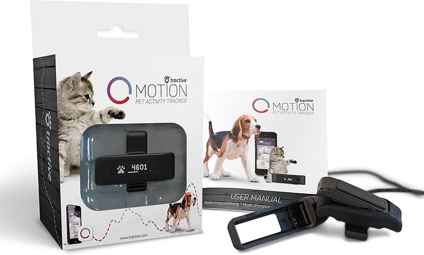 Image 1: Pet Activity Tracker