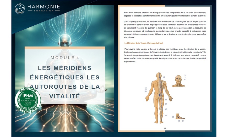 Image 3: Découverte, perfectionnement et professionnalisation en LaHoChi