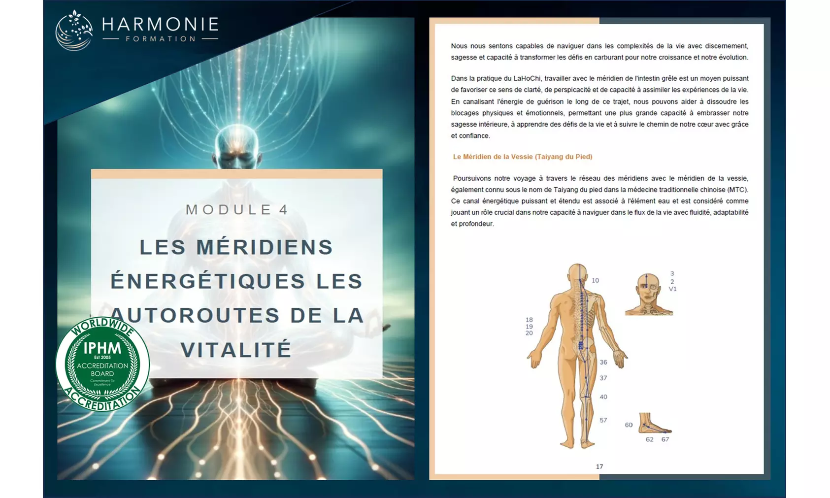 Découverte, perfectionnement et professionnalisation en LaHoChi