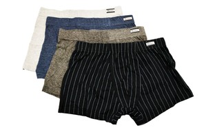 Hanes Men's No-Fly Trunk Boxer Briefs in Assorted Colors (4-Pack)