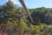 $39 for Adventure Zip Line Tour at Take Flight ($59 Value) - Second Medium